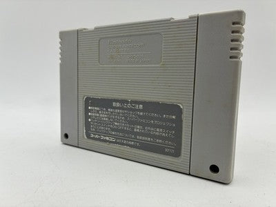 Darius Twin (1991) — the first Darius built for home consoles, with two-player co-op and branching stages. Taito for Super Fa — photo 2
